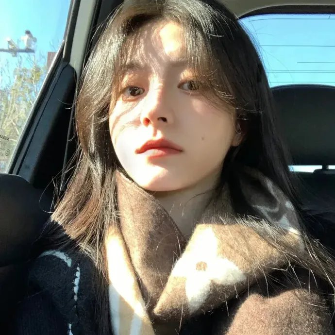 雪儿·海特的消逝